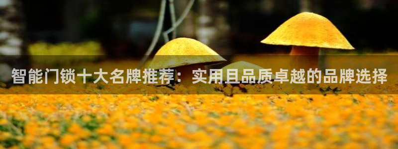 富联娱乐官网登录入口网址：智能门锁十大名牌推荐：实用且品质卓