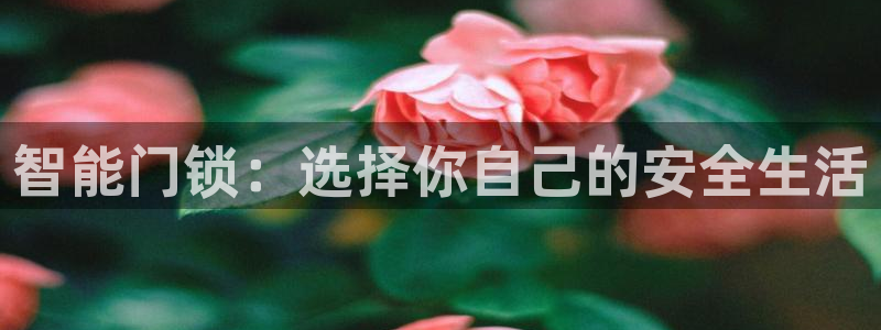 富联娱乐服务站：智能门锁：选择你自己的安全生活