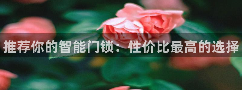 富联娱乐总代：推荐你的智能门锁：性价比最高的选择