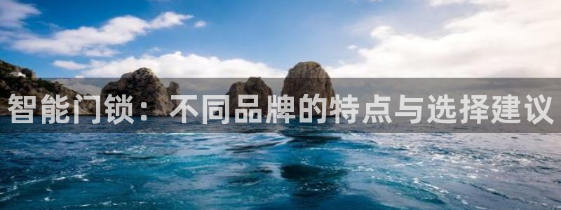 富联娱乐主管密判官333OO：智能门锁：不同品牌的特点与选择