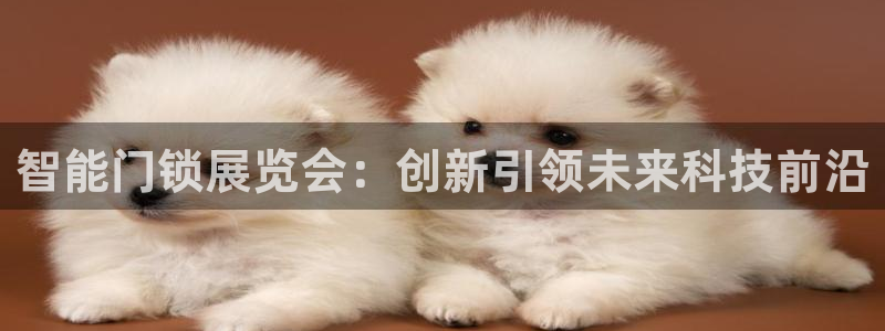 富联娱乐注册食判官333OO：智能门锁展览会：创新引领未来科