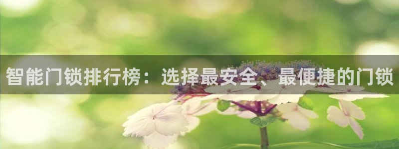 富联娱乐首页登录入口：智能门锁排行榜：选择最安全、最便捷的门