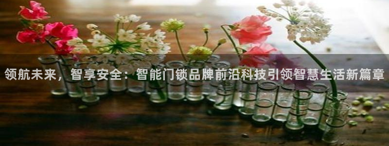 富联娱乐贴吧最新消息网：领航未来，智享安全：智能门锁品牌前沿