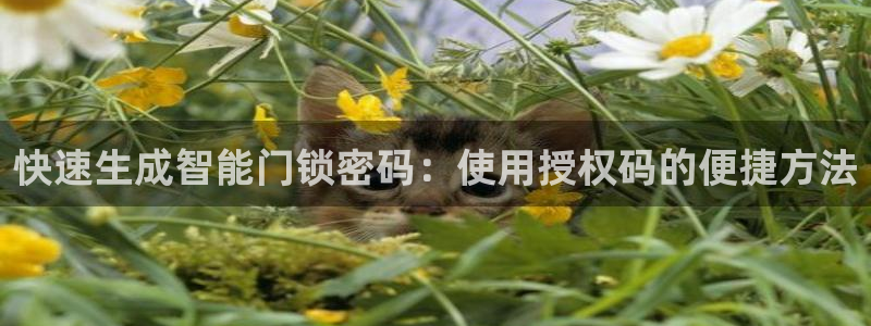 富联娱乐版权所有权归属：快速生成智能门锁密码：使用授权码的便