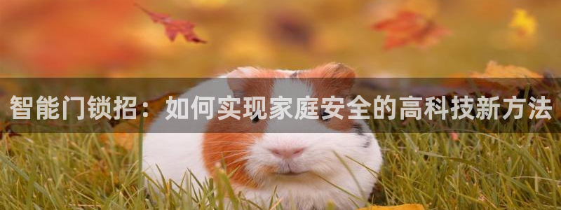 富联娱乐系究7276O：智能门锁招：如何实现家庭安全的高科技