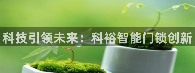 台湾富联娱乐官网：科技引领未来：科裕智能门锁创新