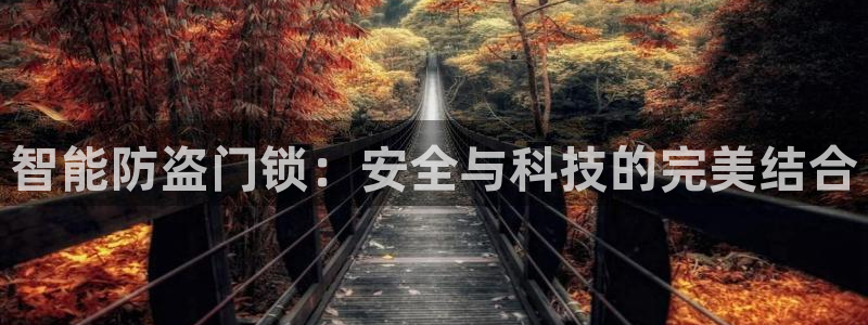 富联娱乐乙67OO6：智能防盗门锁：安全与科技的完美结合