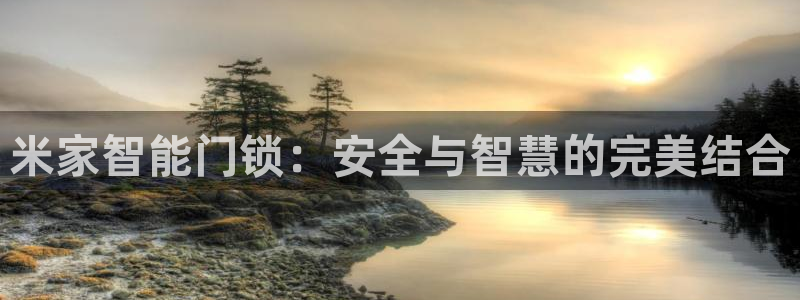 富联娱乐注册登录不上去：米家智能门锁：安全与智慧的完美结合