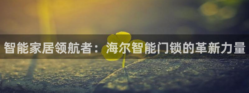 富联娱乐代理是谁做的：智能家居领航者：海尔智能门锁的革新力量