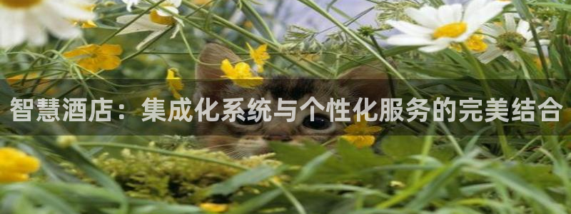 富联娱乐客户端：智慧酒店：集成化系统与个性化服务的完美结合