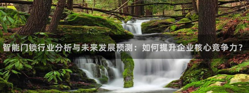 富联娱乐与六七五一38：智能门锁行业分析与未来发展预测：如何