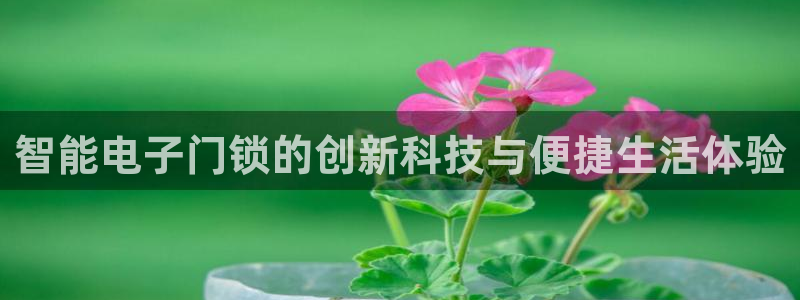 富联娱乐注册食判官333OO：智能电子门锁的创新科技与便捷生
