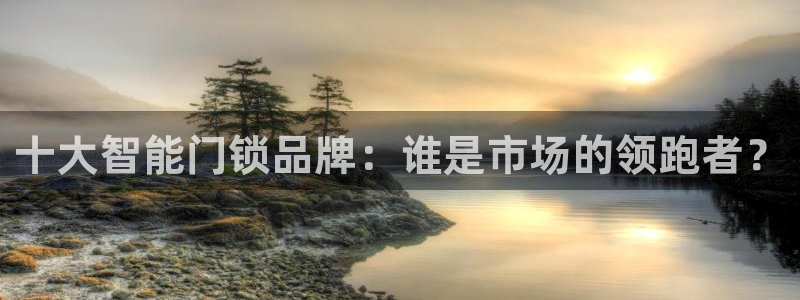 富联娱乐开户费用：十大智能门锁品牌：谁是市场的领跑者？