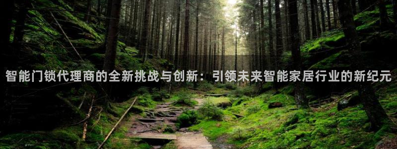 富联娱乐代理怎么样做的：智能门锁代理商的全新挑战与创新：引领
