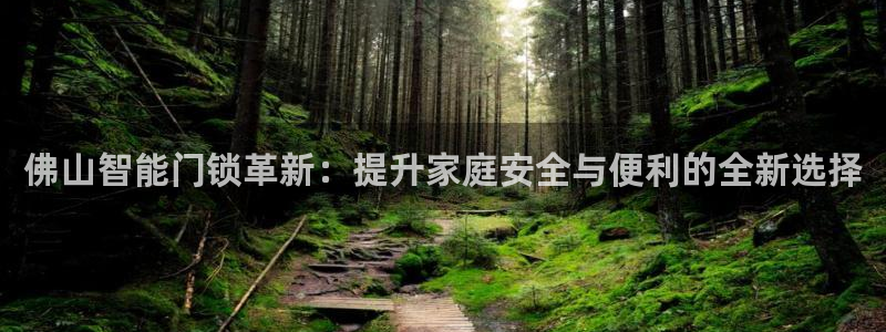 富联娱乐贴吧网站：佛山智能门锁革新：提升家庭安全与便利的全新
