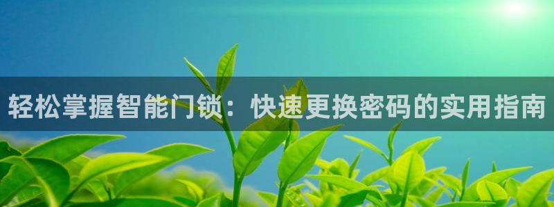 富联娱乐注册登录不上：轻松掌握智能门锁：快速更换密码的实用指