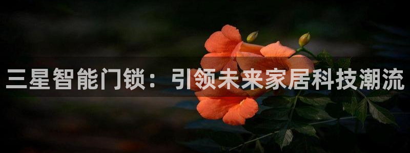 富联娱乐注册地址是哪里：三星智能门锁：引领未来家居科技潮流