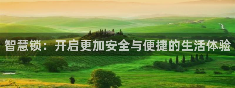 富联2娱乐注册地址在哪：智慧锁：开启更加安全与便捷的生活体验