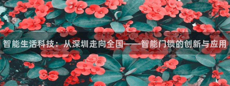 富联娱乐女团是谁的女儿：智能生活科技：从深圳走向全国——智能