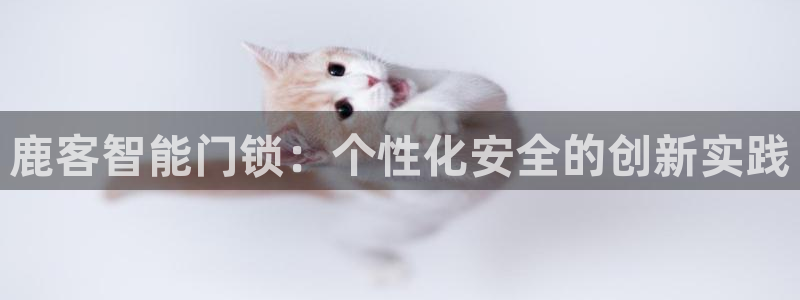 富联娱乐平台是什么平台：鹿客智能门锁：个性化安全的创新实践