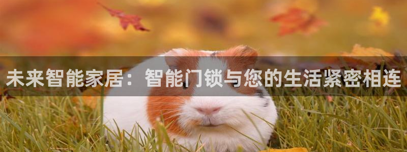 富联娱乐：未来智能家居：智能门锁与您的生活紧密相连