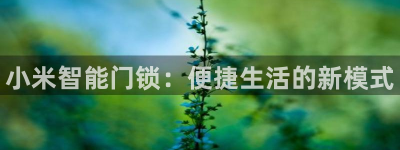 富联娱乐主管月原判官333OO：小米智能门锁：便捷生活的新模