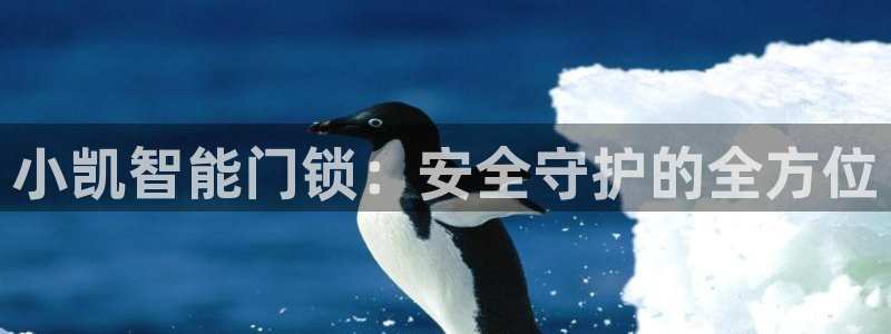富联娱乐达七九九47：小凯智能门锁：安全守护的全方位
