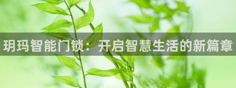 富联娱乐平台招商：玥玛智能门锁：开启智慧生活的新篇章