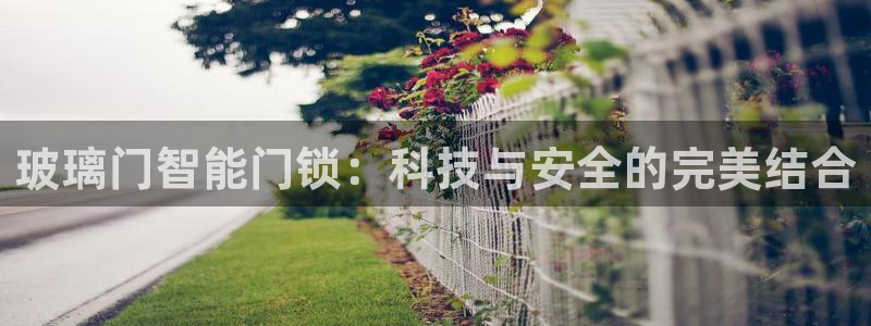 富联娱乐首页登录不上：玻璃门智能门锁：科技与安全的完美结合