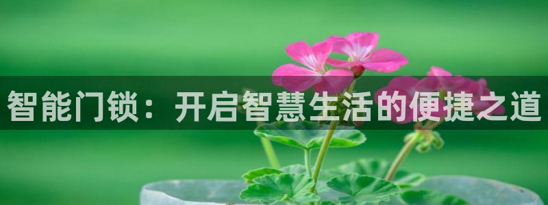 富联娱乐平台开户：智能门锁：开启智慧生活的便捷之道