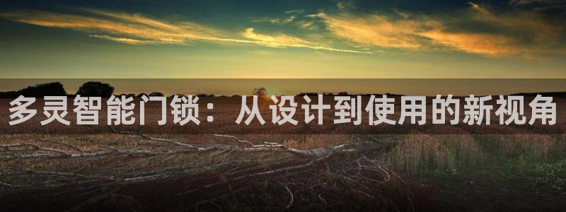 富联娱乐招商掉判官333OO：多灵智能门锁：从设计到使用的新