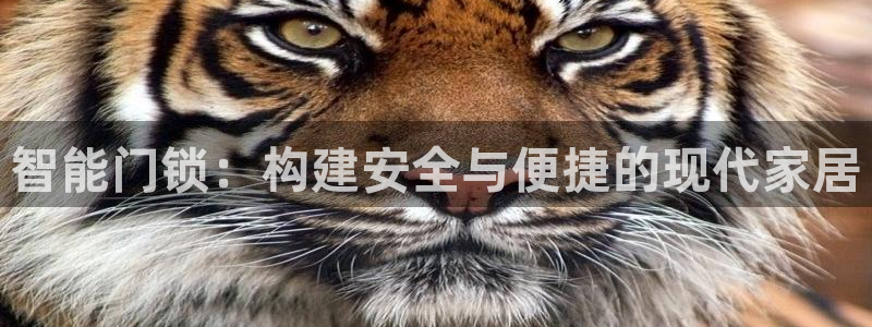 富联娱乐曼谷快三：智能门锁：构建安全与便捷的现代家居