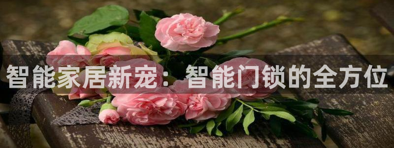 富联娱乐注册地址：智能家居新宠：智能门锁的全方位
