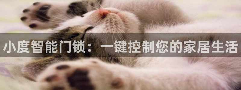 富联娱乐测速app：小度智能门锁：一键控制您的家居生活