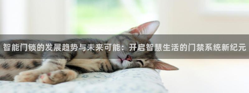 富联娱乐下载免费版安装：智能门锁的发展趋势与未来可能：开启智