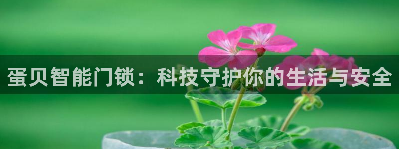 富联娱乐总代理怎么样啊：蛋贝智能门锁：科技守护你的生活与安全