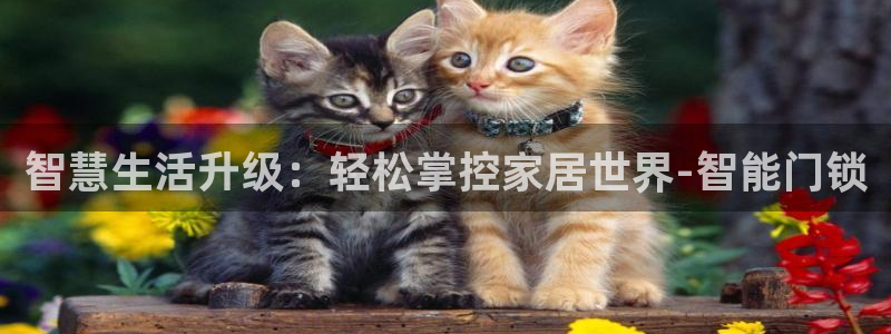 富联娱乐测速地址在哪：智慧生活升级：轻松掌控家居世界-智能门