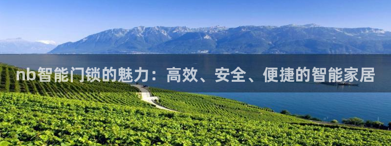 富联娱乐凡六七五一38：nb智能门锁的魅力：高效、安全、便捷