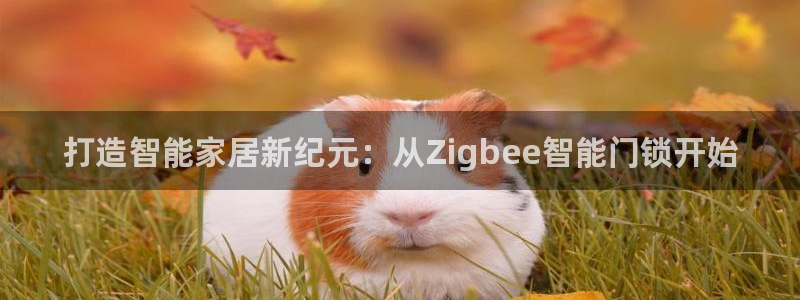 富联娱乐代理怎么做：打造智能家居新纪元：从Zigbee智能门
